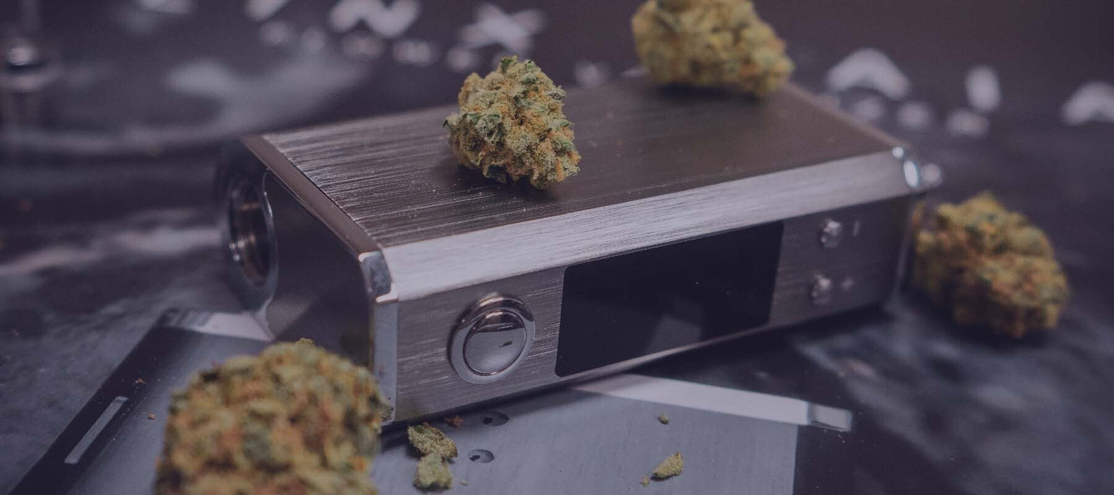 Linx Gaia with Cannabis