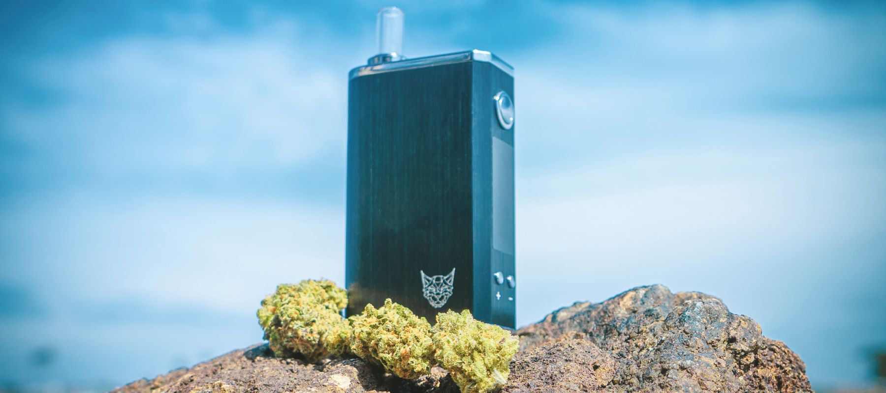 best vape for flower Cleaning and Maintenance