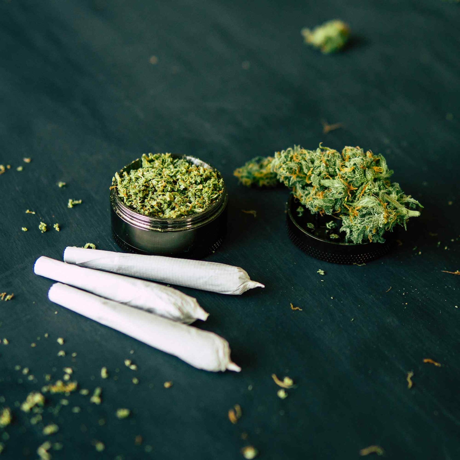 Cannabis Survival Guide