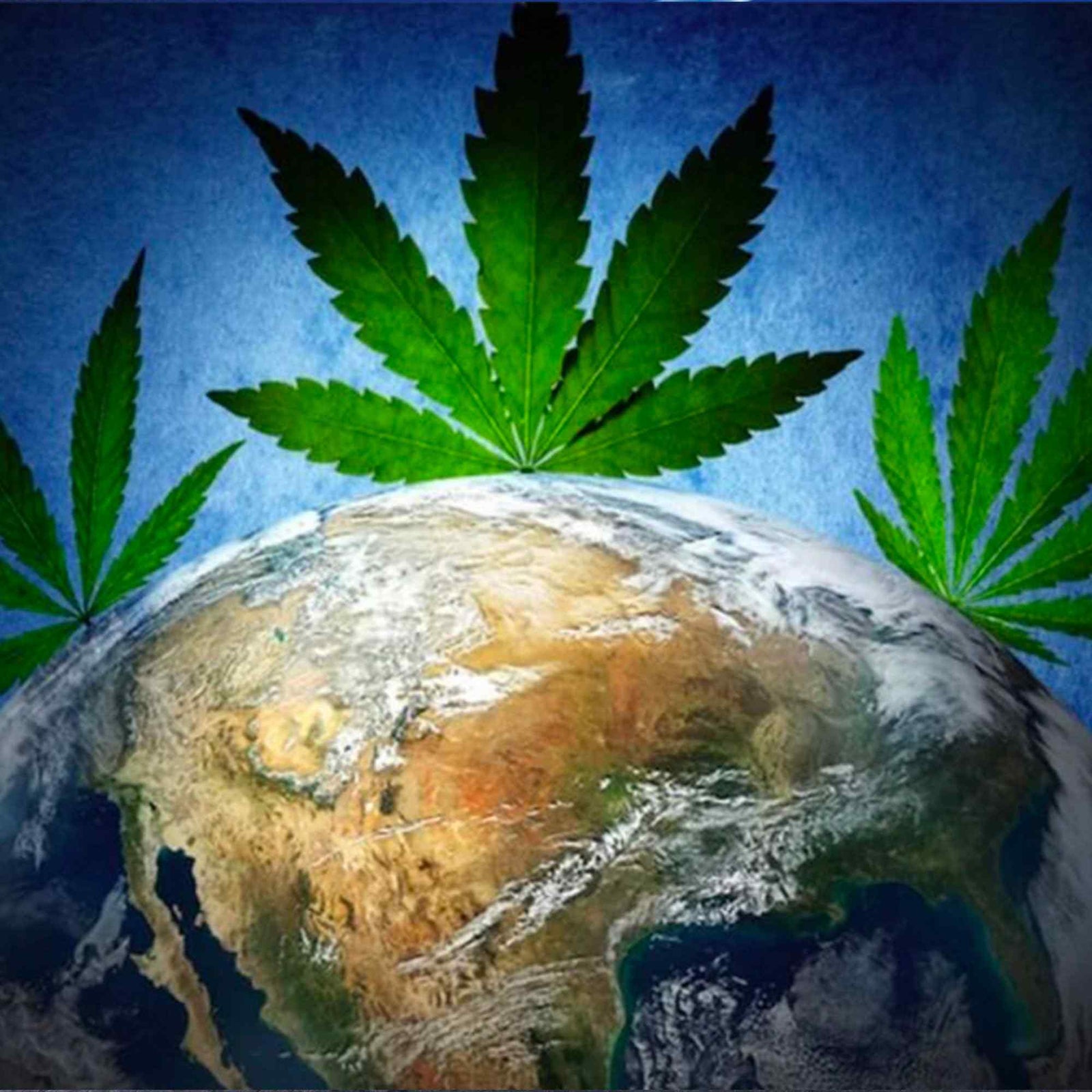 The History of Cannabis: Part 4