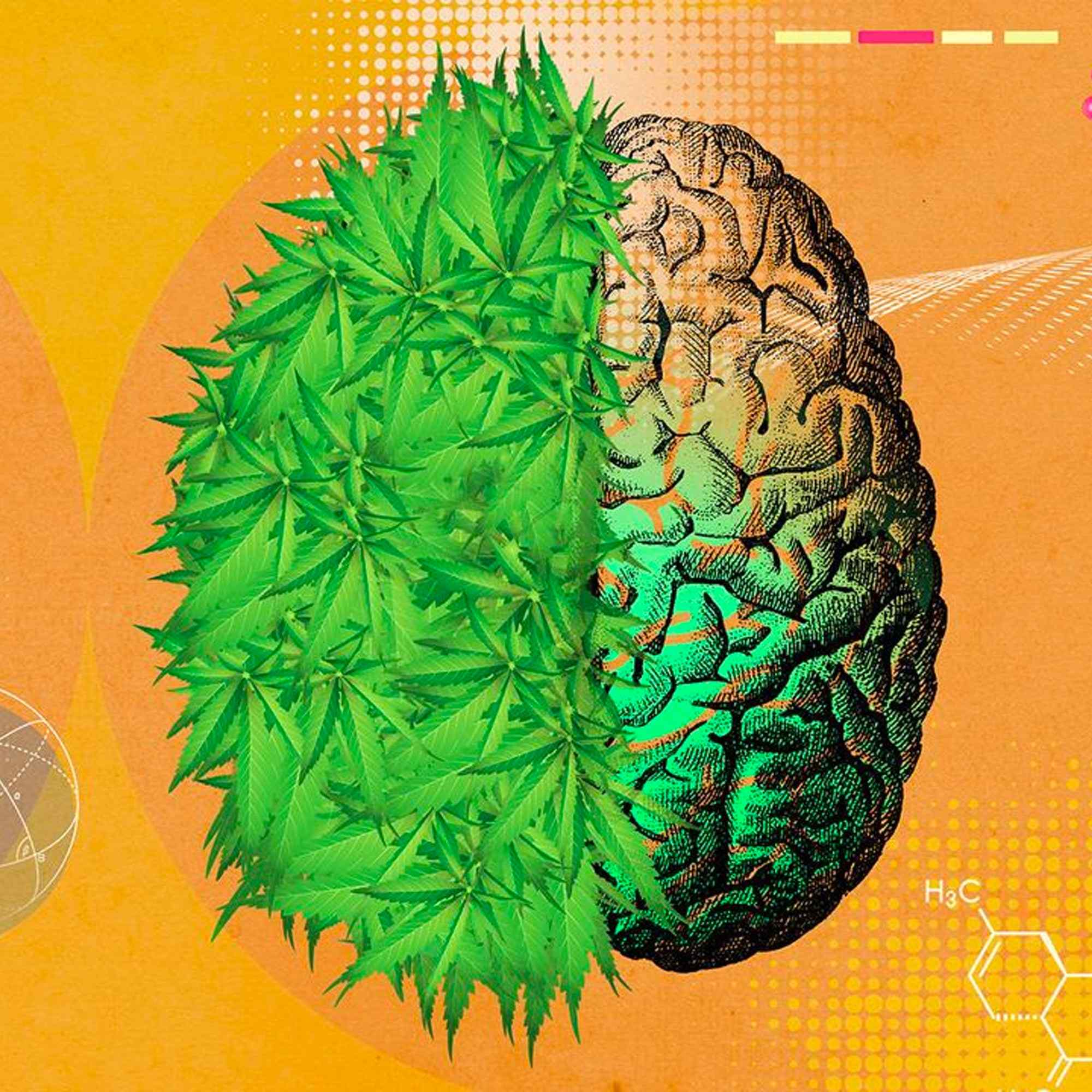 Four Mental Health Benefits of Marijuana