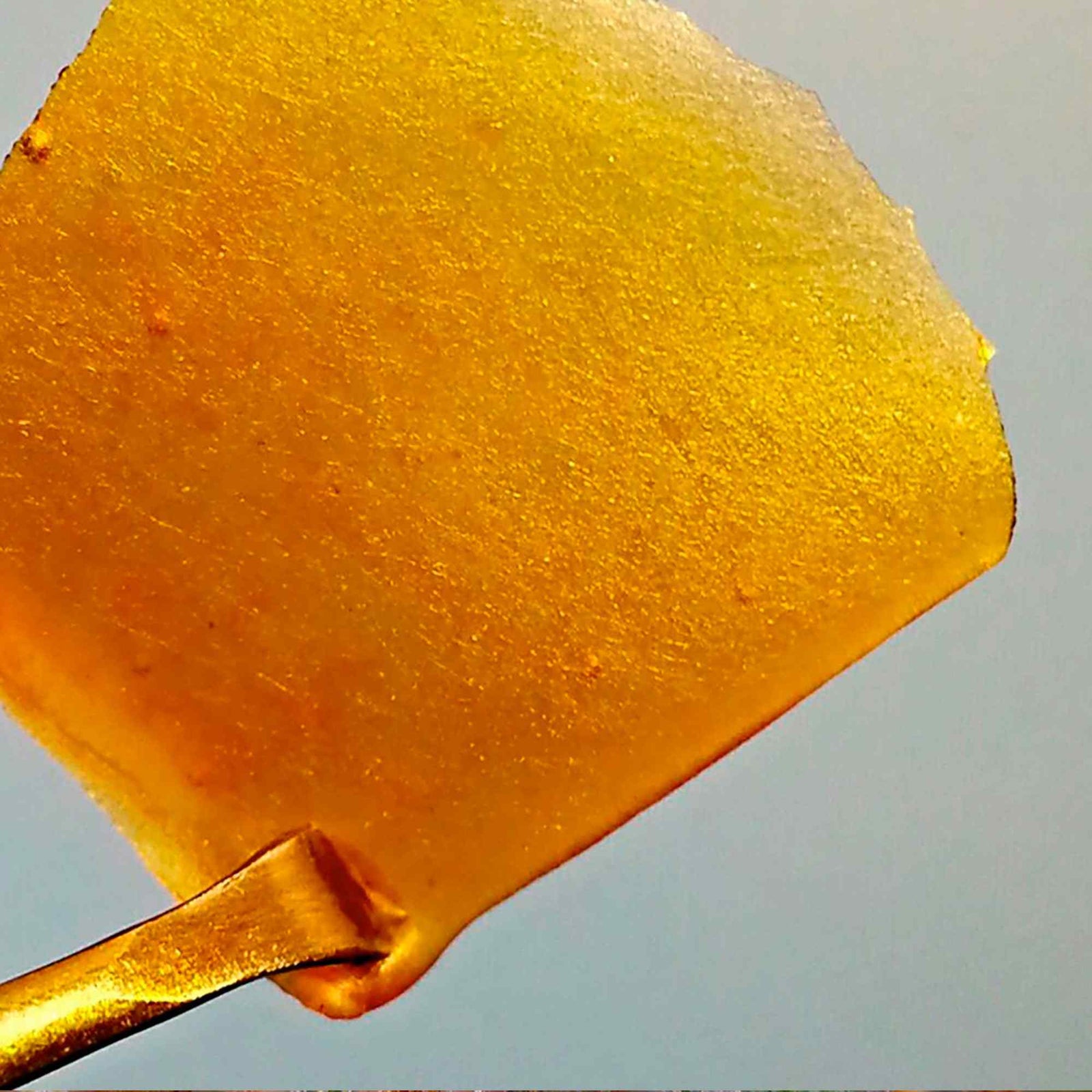 How to determine the quality of Wax?