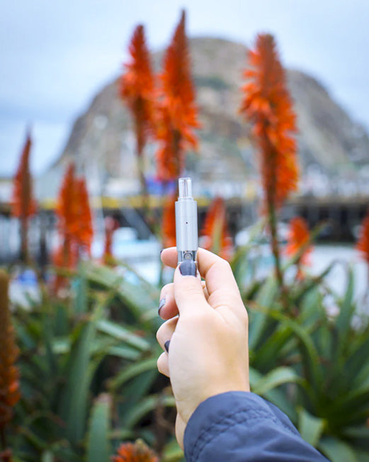 The best wax pen: Linx Hypnos Zero Concentrate Vaporizer Steel Outdoors held by hand