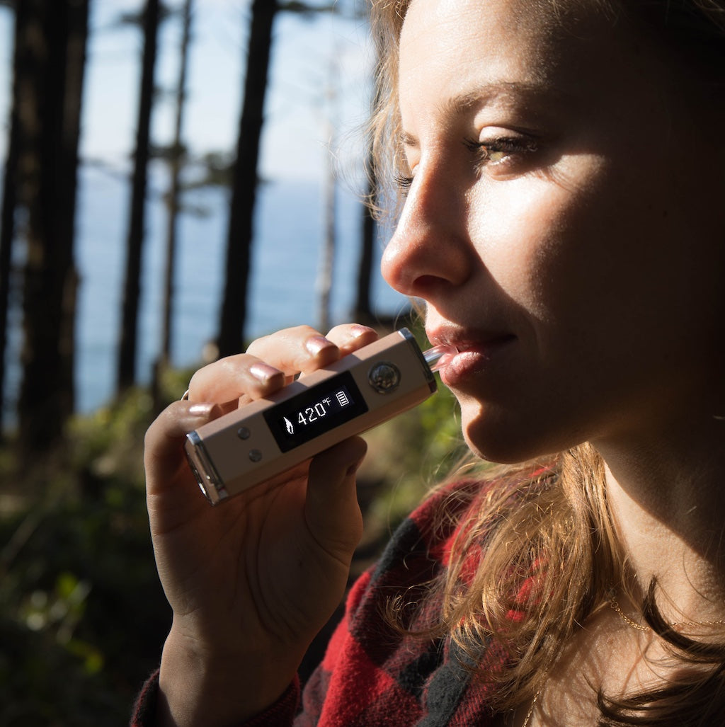Linx Pen Best Wax Pen - Premium Dry Herb Vaporizers | Linx Vapor